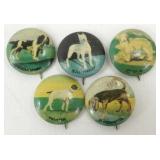 5 Vintage DOG Buttons Pins