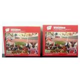 Wisconsin Badgers History Book