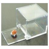 Fire Opal Fire Opal