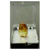 Columbian Amber