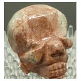 Jasper Skull Jasper Skull