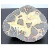 Excellent Septarian Half for Display Excellent Septarian Half for Display