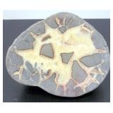 Excellent Septarian Half for Display