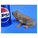 Vintage cast iron frog.  3" H.