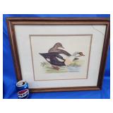 King Duck print.  Glass is BROKEN.   frame