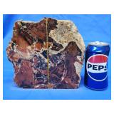 Pair of Petrified wood bookend. 1 side is polish