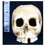 Small cast iron skull candlestick holder