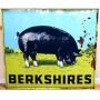Vntg dbl side metal 48x42 Berkshires sign