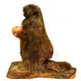 Porcupine taxidermy figure holding apple