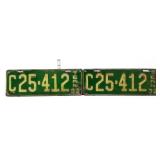 Pair 1932 TN license plates