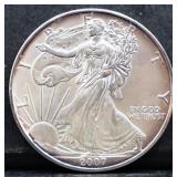 2007 silver eagle coin