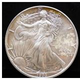 1993 silver eagle coin