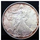 2006 silver eagle coin