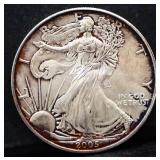 2005 silver eagle coin