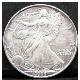 2005 silver eagle coin