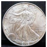 2002 silver eagle coin