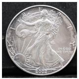 2002 silver eagle coin