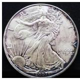 2007 silver eagle coin