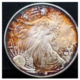 2006 silver eagle coin