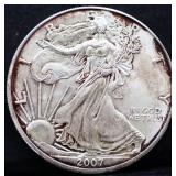 2007 silver eagle coin