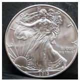 2013 silver eagle coin