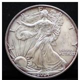 2004 silver eagle coin