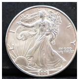 2006 silver eagle coin