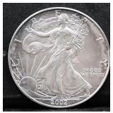 2002 silver eagle coin