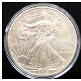 2009 silver eagle coin