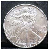 2005 silver eagle coin