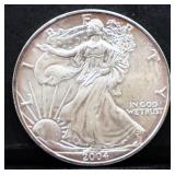 2004 silver eagle coin