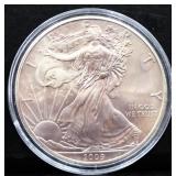 2009 silver eagle coin