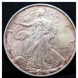 2006 silver eagle coin