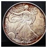 2005 silver eagle coin