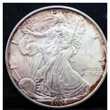 2006 silver eagle coin