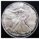 2007 silver eagle coin