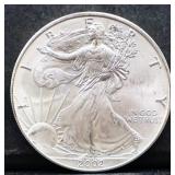 2002 silver eagle coin