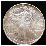 1993 silver eagle coin
