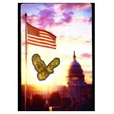 1/1000 gold Samoa proof eagle gold