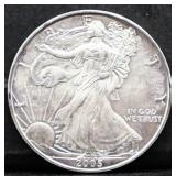 2005 silver eagle coin