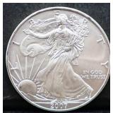 2007 silver eagle coin