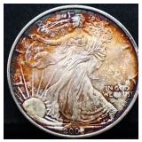 2006 silver eagle coin