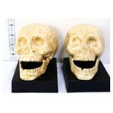 Pair cast iron skull bookends