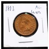 1883 indian head penny