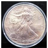 2009 silver eagle coin