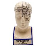 10.5in phrenology head