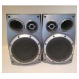 Pioneer Bass Speaker System