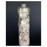 Sea Shell Decor Sea Shell Decor