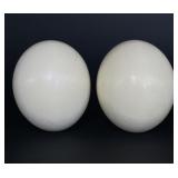 Ostrich Eggs Ostrich Eggs
