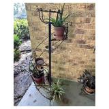 Swirl Plant Stand with Plants